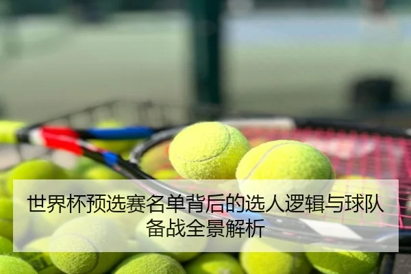 世界杯预选赛名单背后的选人逻辑与球队备战全景解析