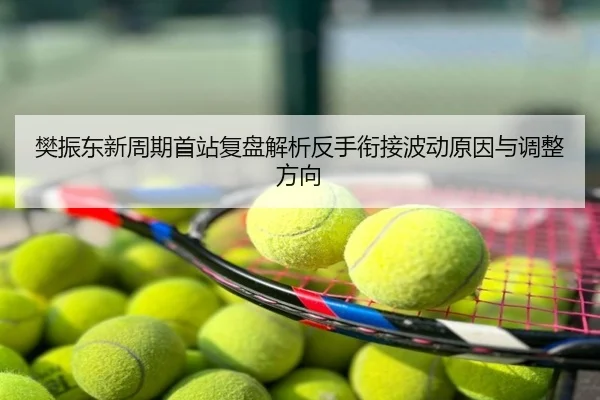 樊振东新周期首站复盘解析反手衔接波动原因与调整方向